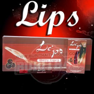 มินิซิการ์ LIPO
