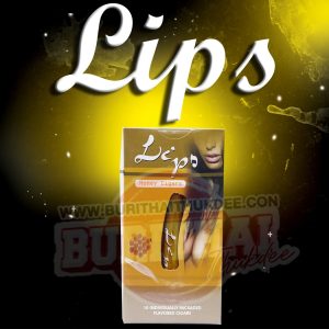 มินิซิการ์ LIPO