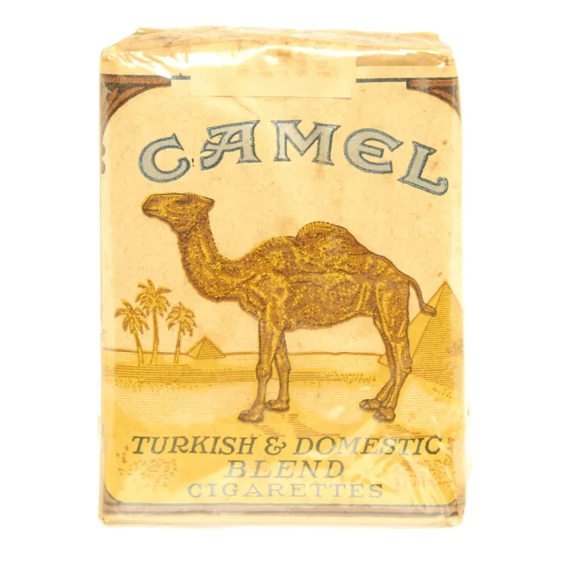 Camel